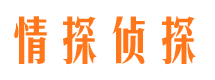 龙岗市侦探公司